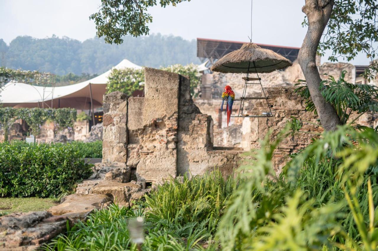 Hotel Museo Spa Casa Santo Domingo Antigua Exterior foto The ruins of the old zoo